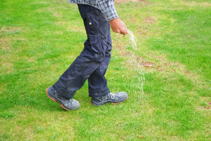 Lawn Care Lawn Care
