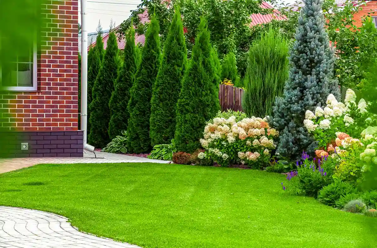 Professional Landscaping Services