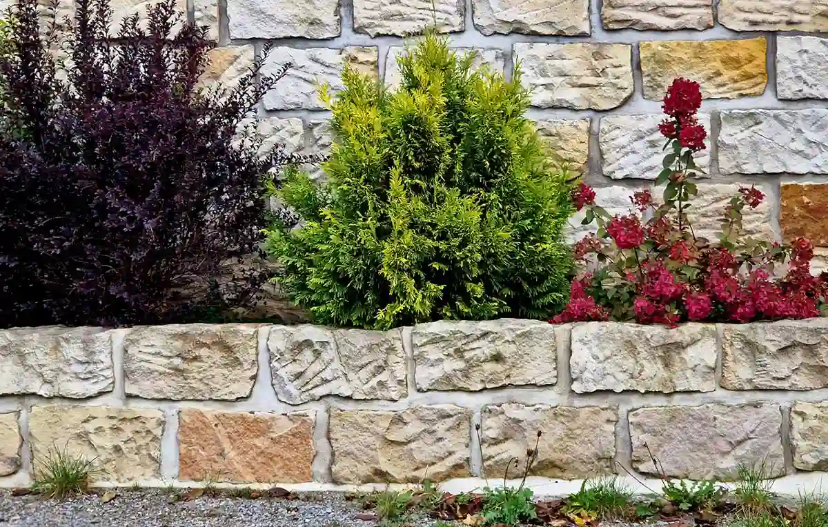 Skilled Landscaping Services